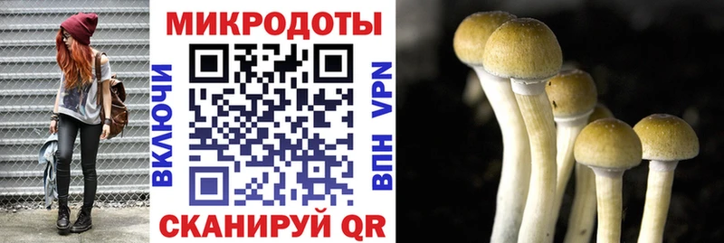 Галлюциногенные грибы прущие грибы  Купить закладки  Знаменск 